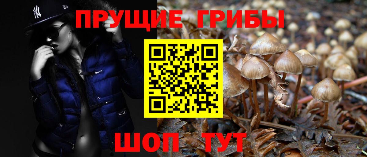 Псилоцибиновые грибы ЛСД Луга