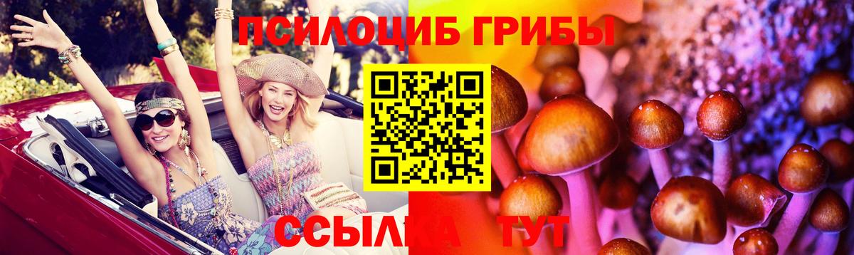 Псилоцибиновые грибы мухоморы  Вход с VPN  Луга  Галлюциногенные грибы прущие грибы 